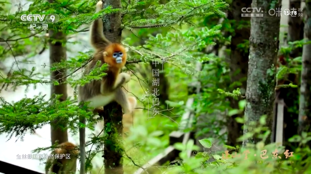 1727076475321381.png 微信截图_20240923151902.png