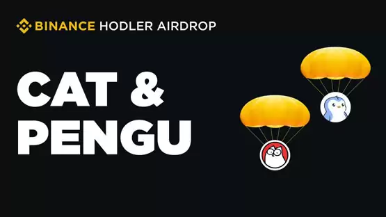 bnb持有者的福音！币安hodler空投一次性上新两个：cat和pengu