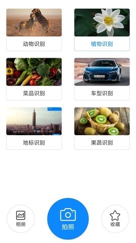 拍照识物全能王安卓版