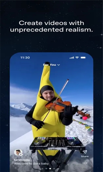 sora软件下载