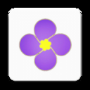 紫金草视频下载app