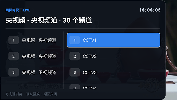大完美电视免费版