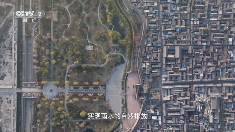 魄狼TV电视版