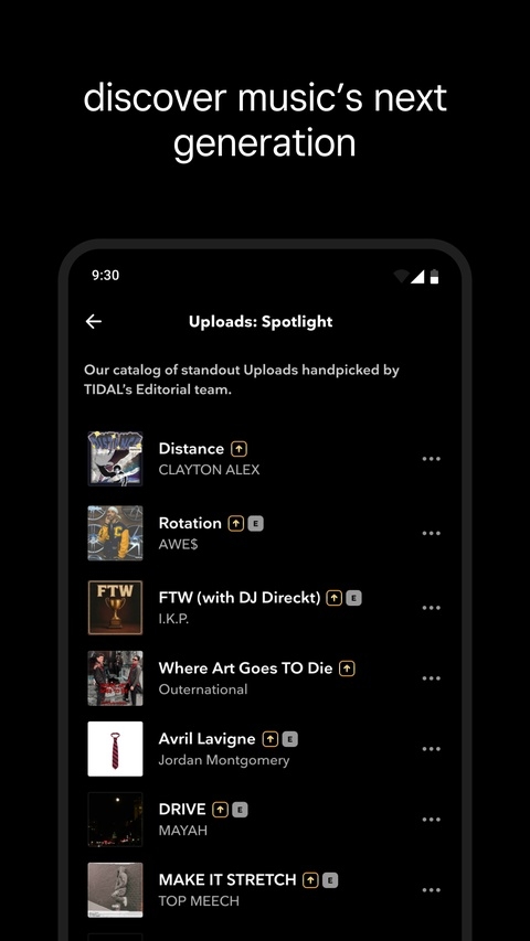 tidal音乐中国官网版