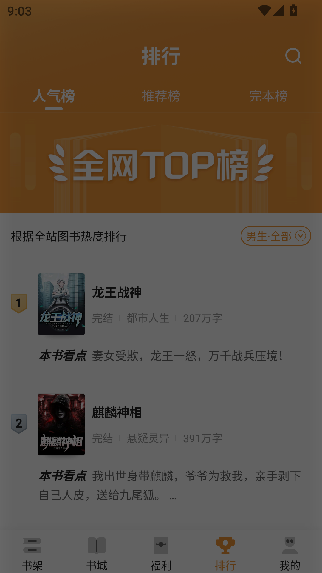 大神小说免费版